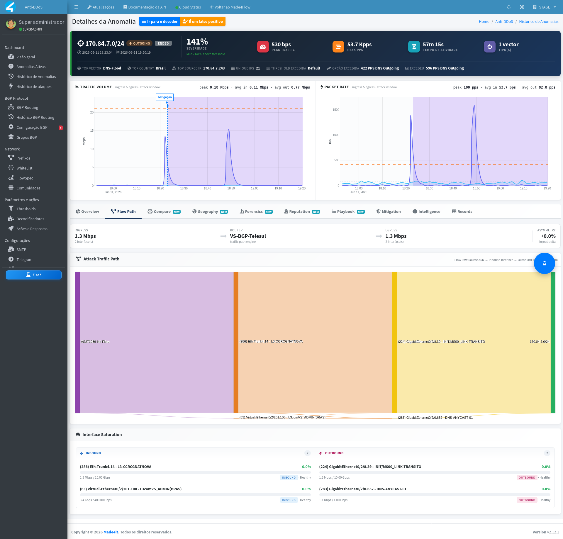 new-anomaly-details-page-showing-dns-flood-2.png