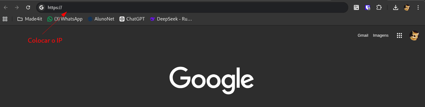 ip_login.png